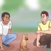 Addestrare un malinois