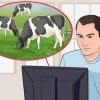 Avviare un caseificio