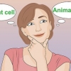 Crea un modello di una cella