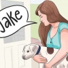 Crea un nome per il tuo cucciolo o cane