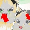 Trattare un'infezione agli occhi in un gatto