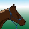 Spazzolare un cavallo