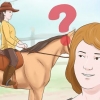 Addestrare un cavallo