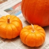 Dipingere una zucca