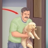 Addestrare un cucciolo in un appartamento