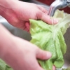 Fare un'insalata