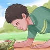 Accarezzare una tartaruga