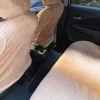 Ottenere un odore di muffa dalla tua auto