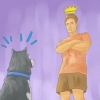 Addestrare un husky siberiano