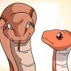 Scegliere un serpente come animale domestico