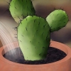 Salvare un cactus morente