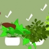 Realizzare un terrario