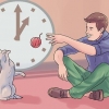 Accogli un secondo gatto e non far arrabbiare il vecchio gatto