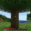 Come creare un cartello in minecraft