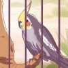 Come domare un cockatiel