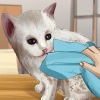 Lava un gattino orfano