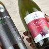 Usare una bottiglia di vino per innaffiare una pianta