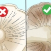 Identificazione dei funghi commestibili
