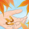 Semi d'acero in germinazione