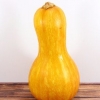 Conservare la zucca in bottiglia