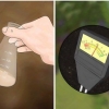 Fertilizzare gli alberi da frutto