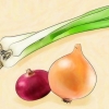 Cipolle verdi in crescita