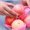Lavare frutta e verdura