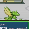 Haunter in evoluzione