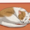 Riconosci se il tuo gatto ha avuto un ictus