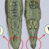 Guarda la differenza tra un coccodrillo e un alligatore