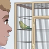 Guadagnare la fiducia del tuo uccello