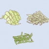 Infusori in crescita