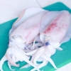 Cucinare i calamari