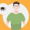 Supera la tua paura dei ragni