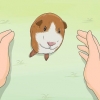 Addestrare la tua cavia