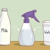 Raddrizza i capelli in modo naturale - per gli uomini