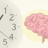 Riprogrammare il tuo cervello