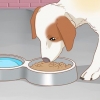 Trattare il tuo cane