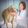 Aiutare il tuo cane dopo che ha partorito