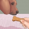 Insegna al tuo cane a zampare