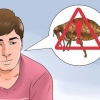 Sbarazzarsi delle pulci sul tuo animale domestico