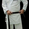 Indossa la cintura da karate