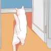 Incoraggiare il tuo nuovo gatto a smettere di nascondersi