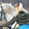 Lascia che il tuo cavallo si fidi di te