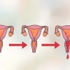 Determina il giorno più fertile per rimanere incinta