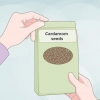 Coltiva il cardamomo