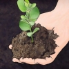 Miglioramento del terreno argilloso