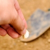 Aglio essiccato