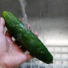 Fare l'acqua di cetriolo