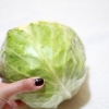 Prepara il cavolo cappuccio